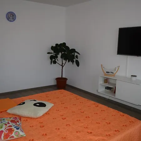 Apartament Spatios In Brasov Exterior photo