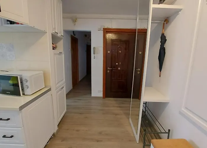 Apartament Spatios In Brasov